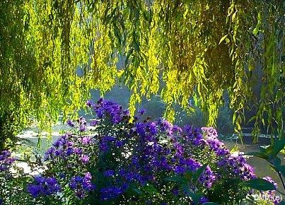 Photo Scenic France Giverny Monets Lily Pond