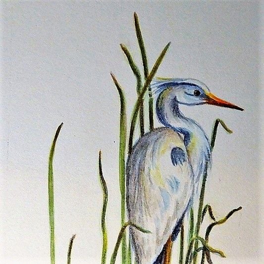 Animal Crane Watercolor Art