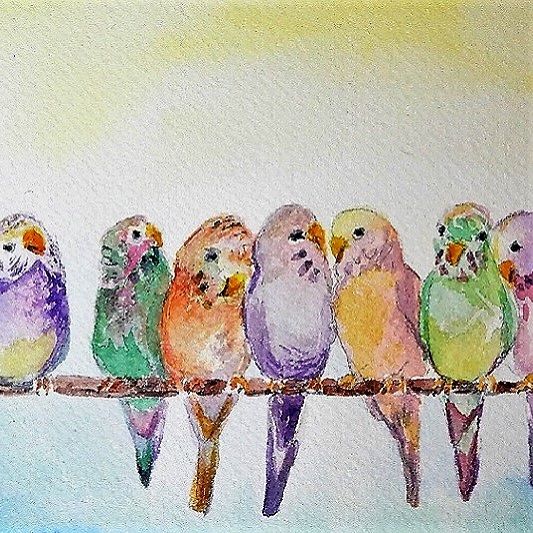 Animal Parakeets watercolor Art 5x6
