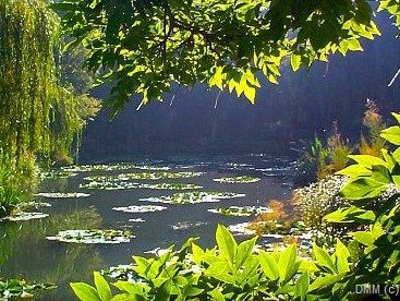 Photo Scenic France Giverny Lily Pond