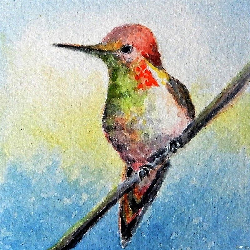 Animal Hummingbird Art 3x3
