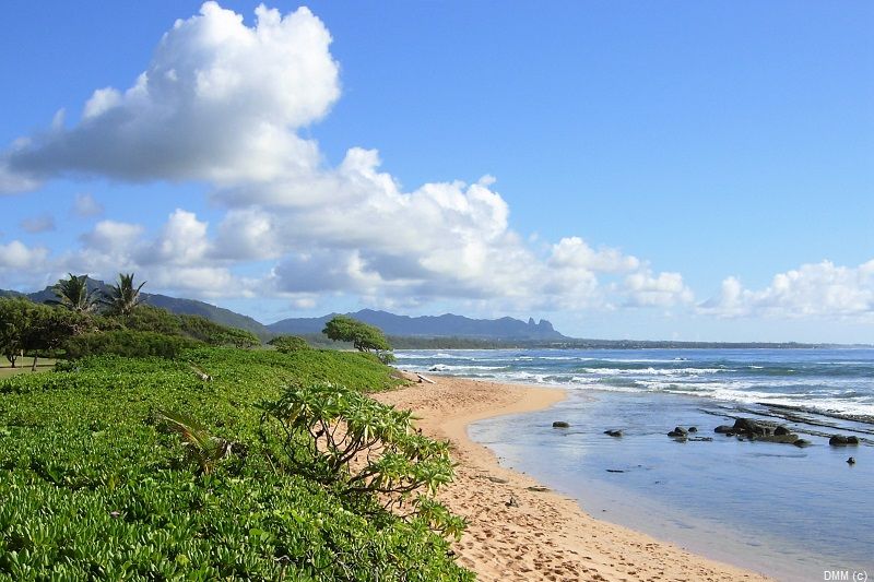 Photo Scenic Hawaii Kauai Beach